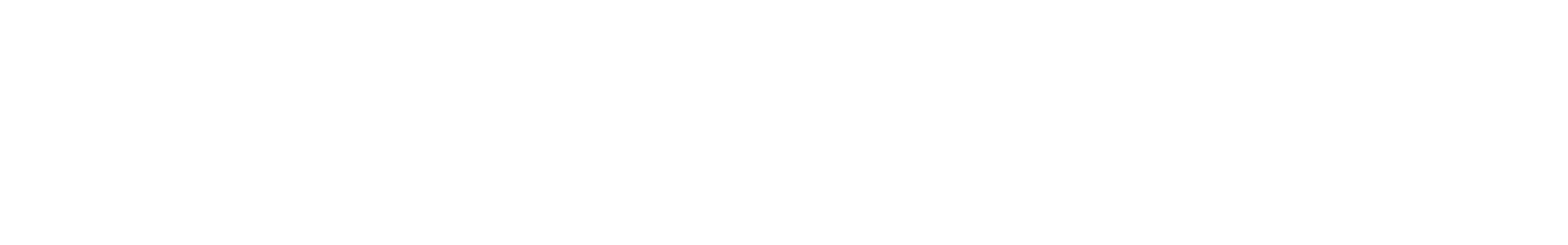 Netshoes